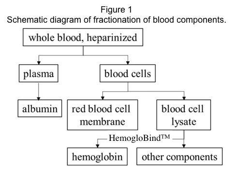 BSG_Figure 1_Schematic diagram of fractionation of blood components